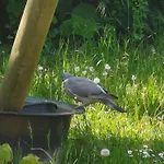 Apartment Gutshof - Pension&ferienwohnungen Kehnert