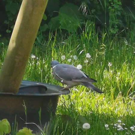 Daire Gutshof - & Kehnert