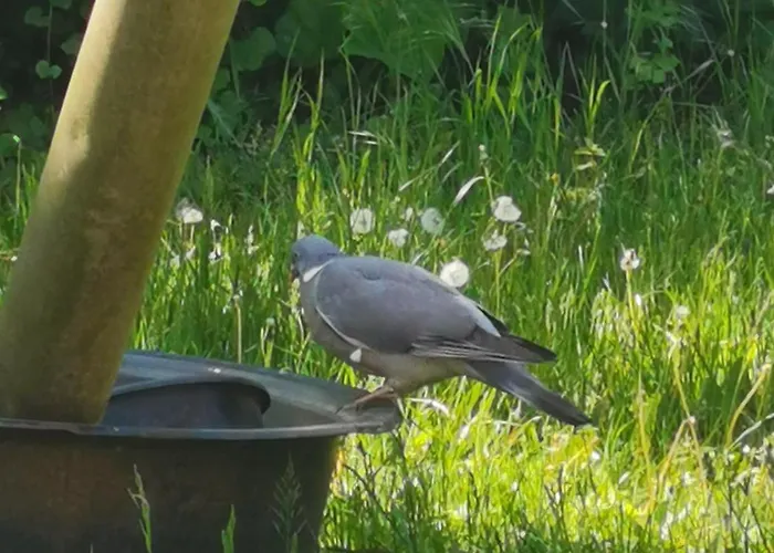 Lägenhet Gutshof - & Kehnert