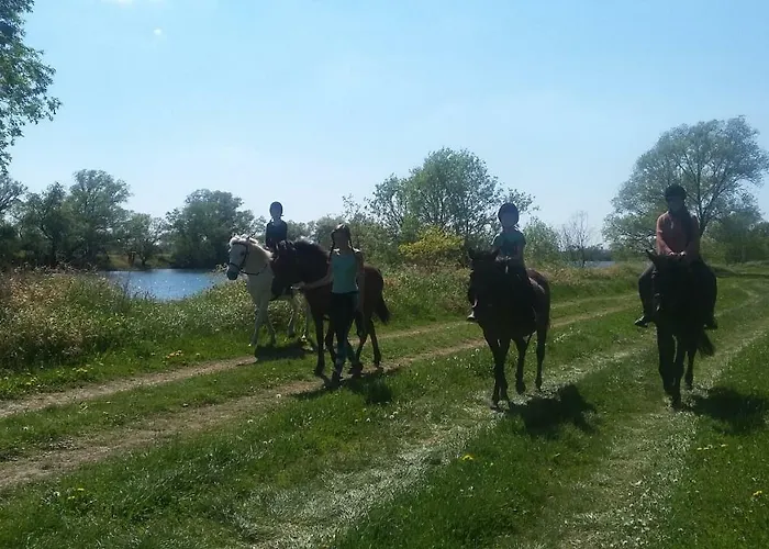 Gutshof - & * Kehnert