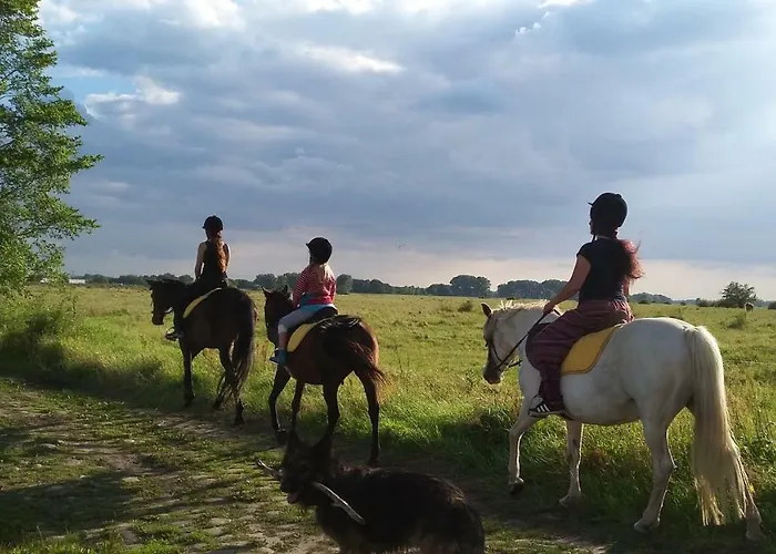 Gutshof - & * Kehnert